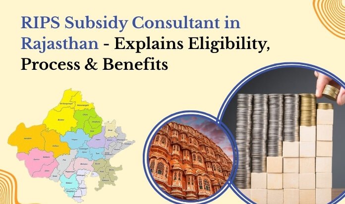 RIPS Subsidy Consultant in Rajasthan
